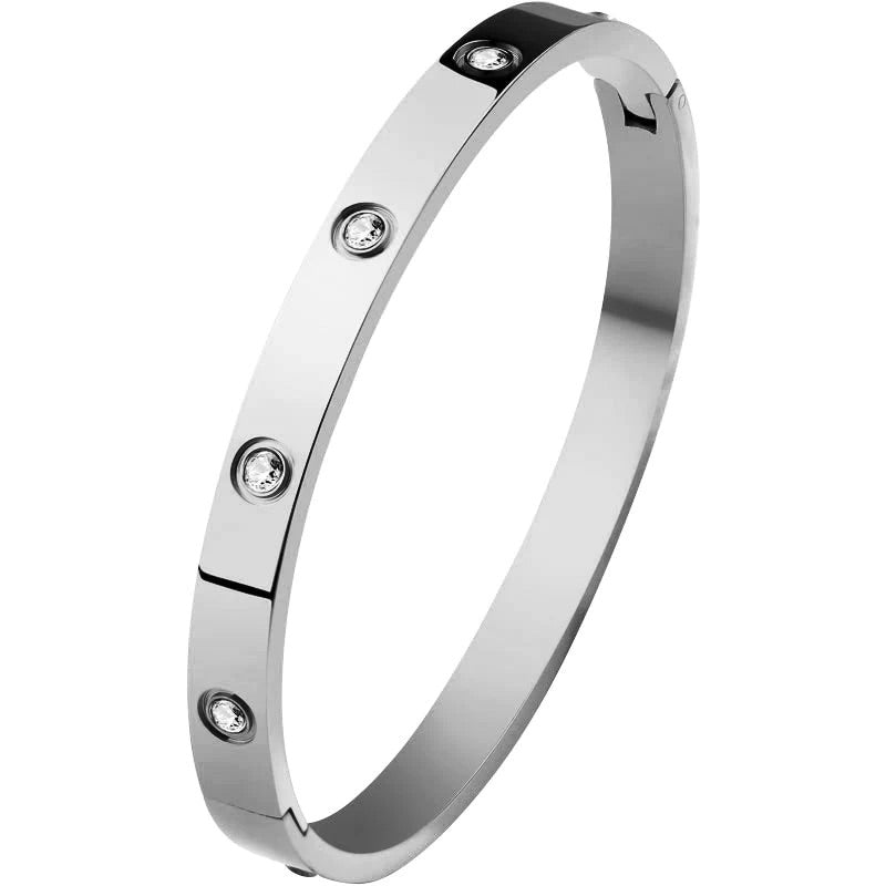 Titanium & Stainless Steel Silver Roman Numeral Bracelet - 2 Colors